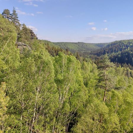 Ferienwohnung Saechsische Schweiz Rosenthal-Bielatal Kültér fotó